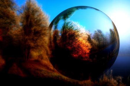 Glass mirroring autumn
