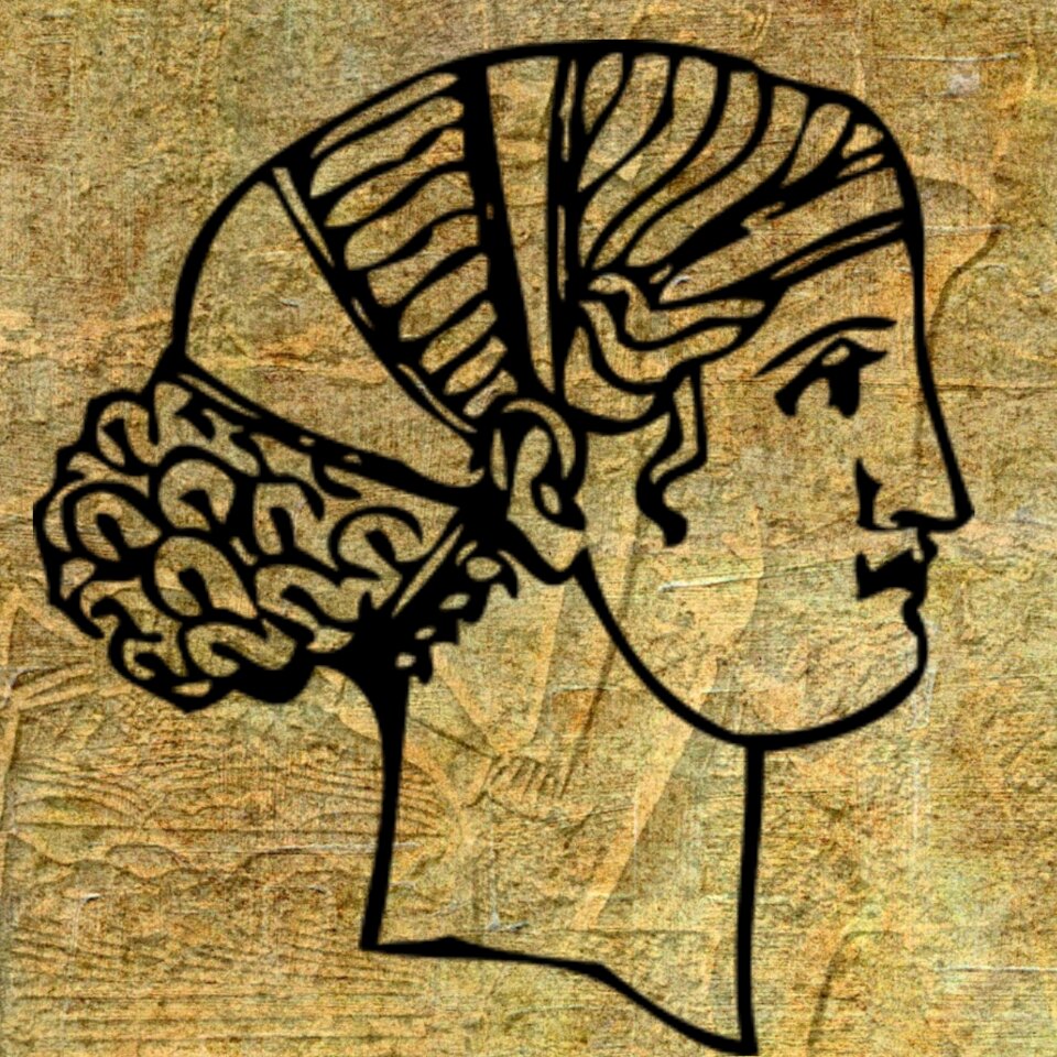 Hairstyle lady woman