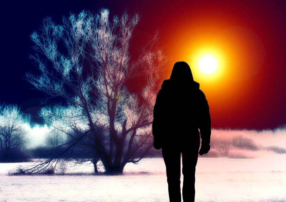 Landscape surreal snow