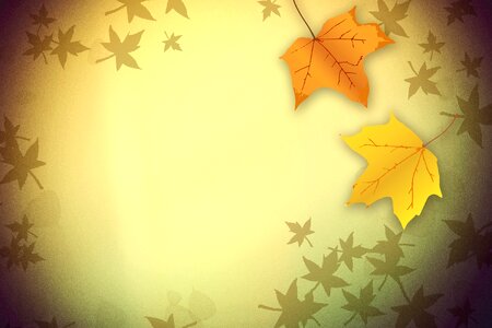 Background texture fall leaves
