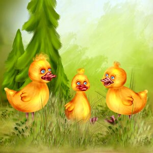 Landscape nature mood