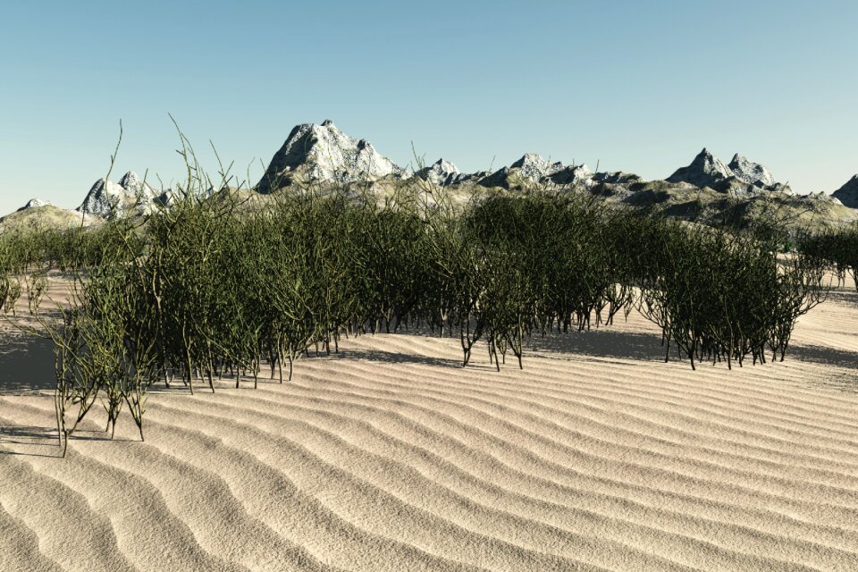 Nature sea sandy