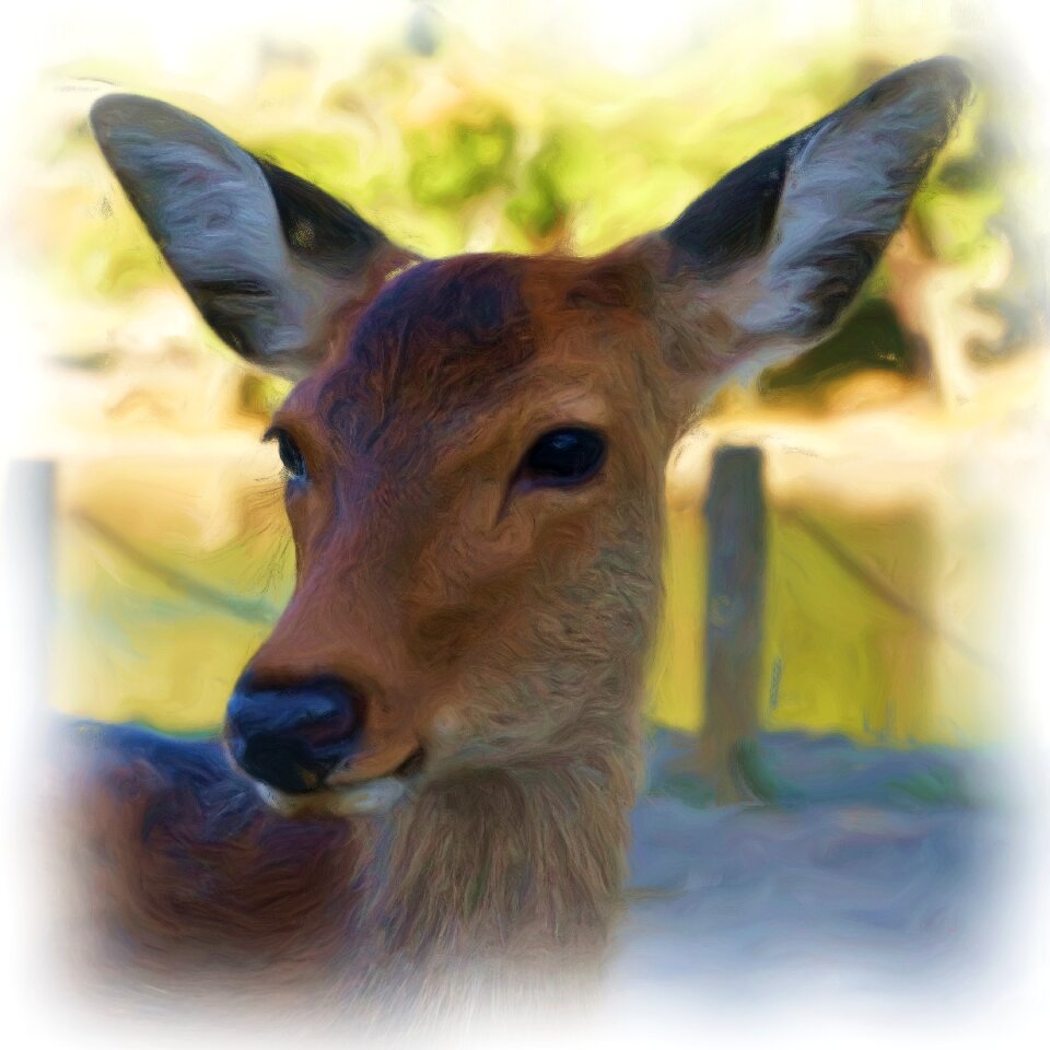 Roe deer young deer art