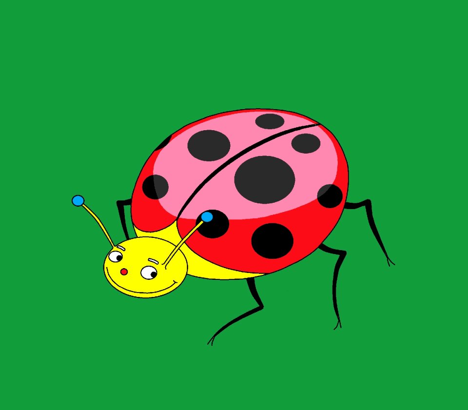 Drawing animal bugs