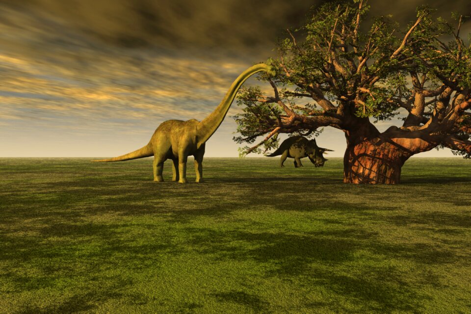 Brontosaurus dinosaur animal
