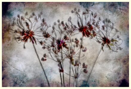 Artwork fractal decorative