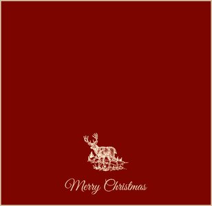 Greeting card background christmas greeting