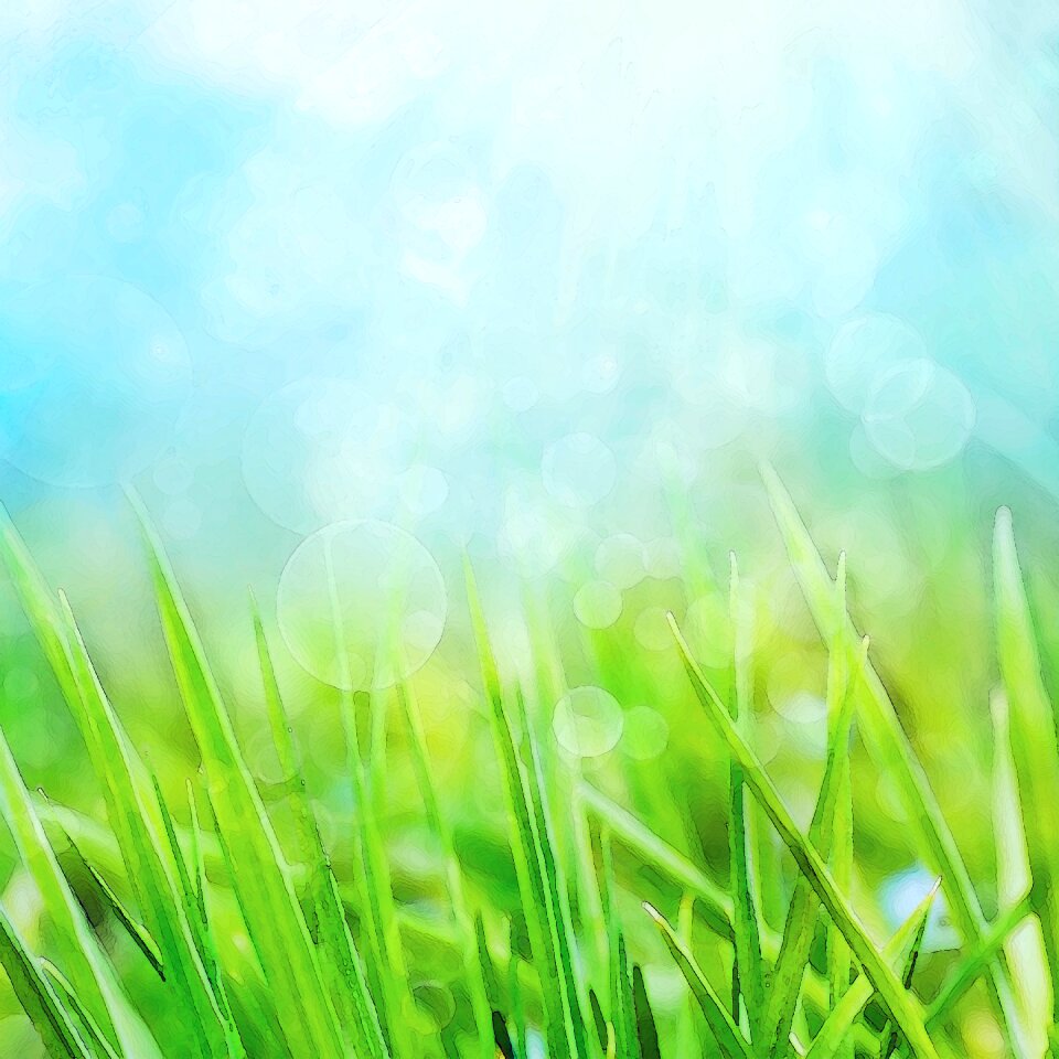 Landscape scrapbook spring