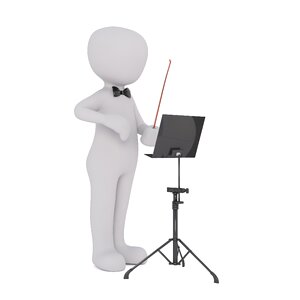 Head schaffner maestro