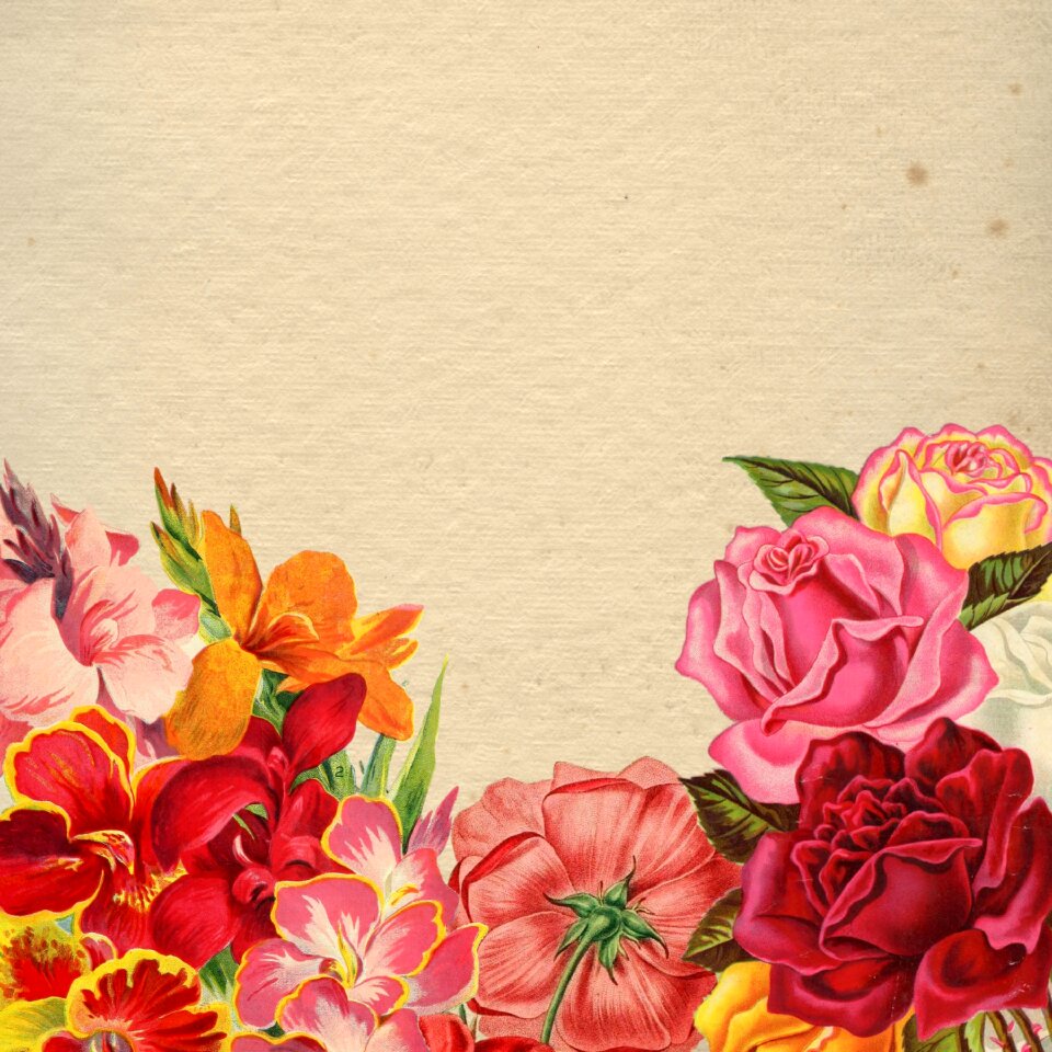 Background red pink