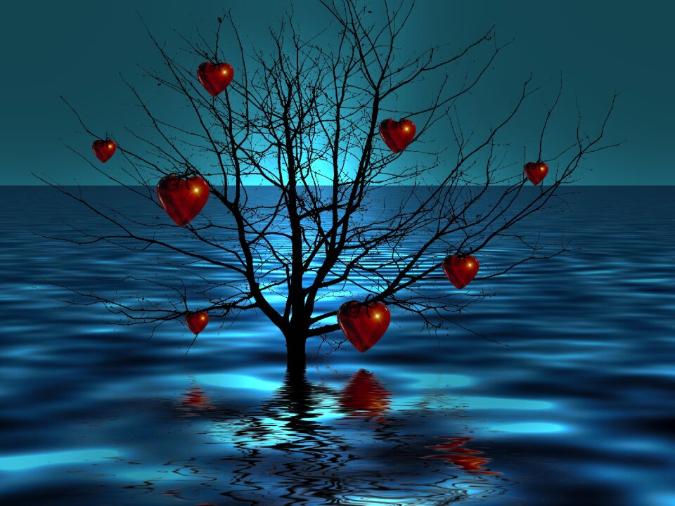 Sea heart wave
