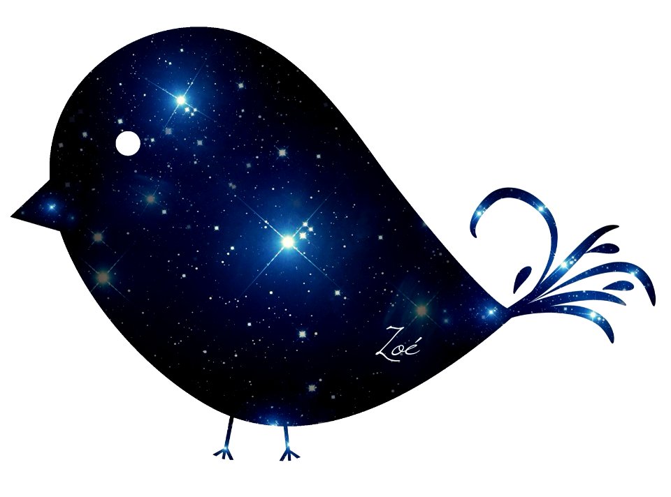 Wings bird sky