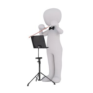 Head schaffner maestro