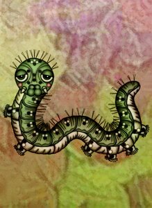 Caterpillar insect Free illustrations