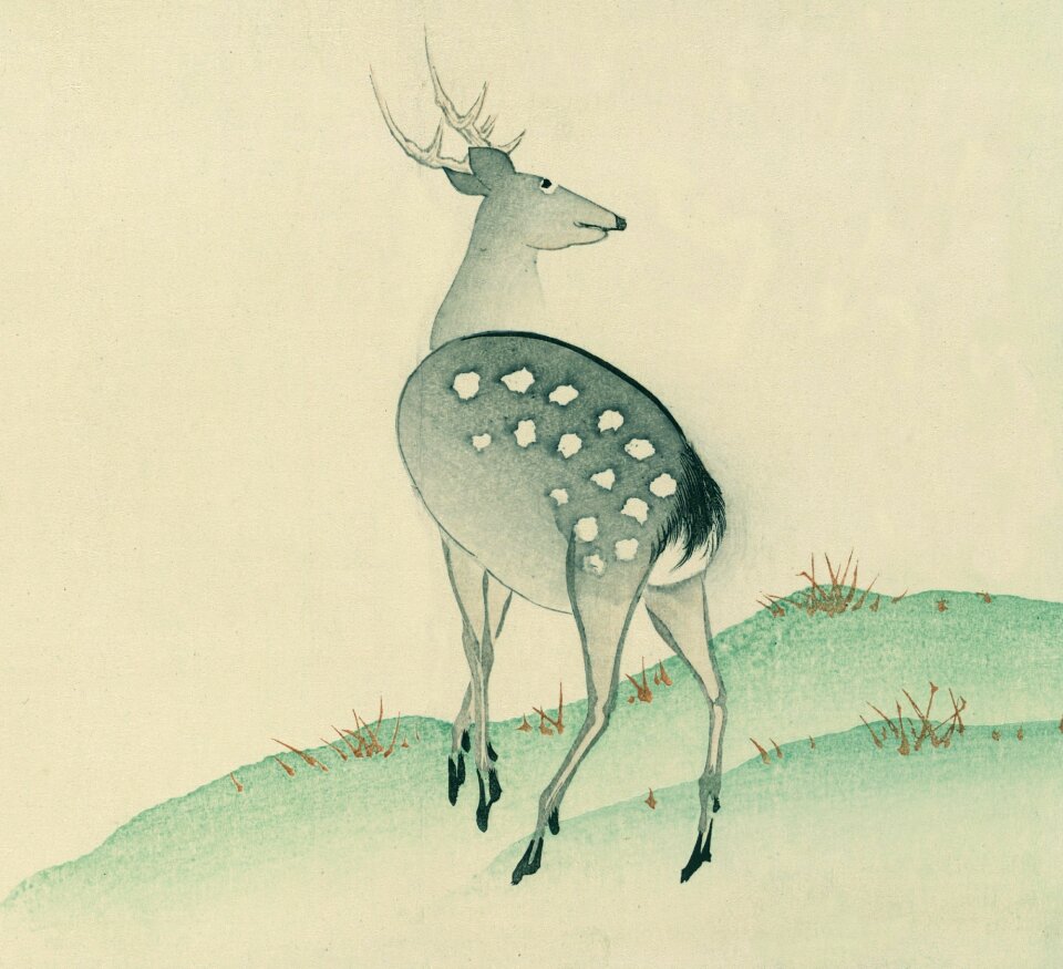 Watercolor painting old fashioned