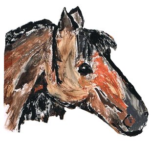 Horse pony Free illustrations