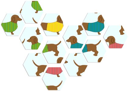 Pet breed brown