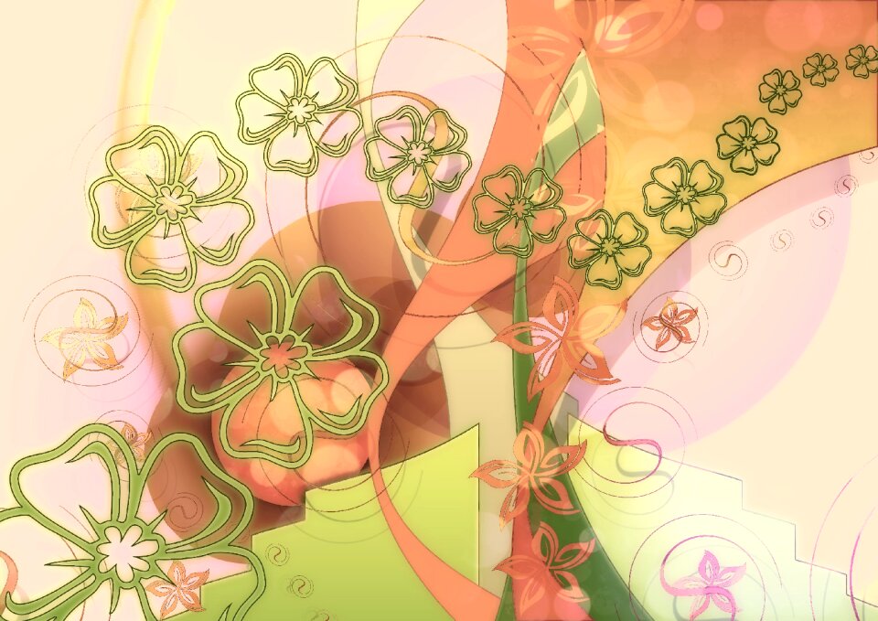 Blossom flowers flowers creative