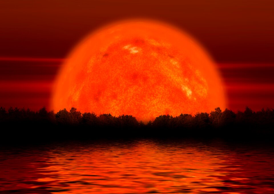 Nature summer sun