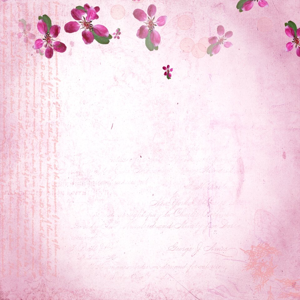 Summer spring flowers