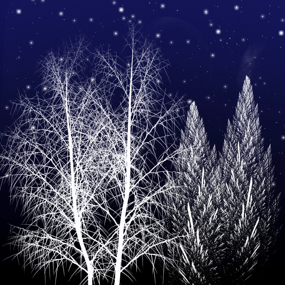 Winter white Free illustrations
