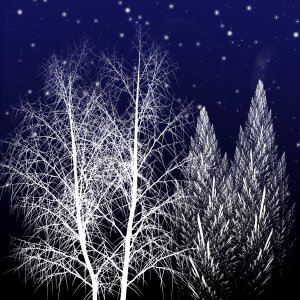 Winter white Free illustrations