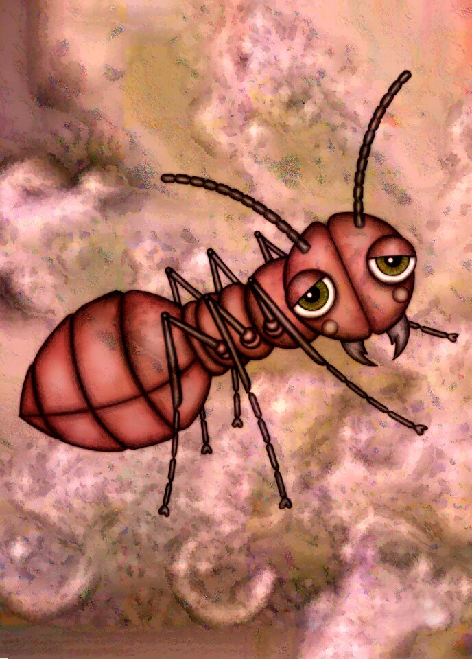 Ant insect Free illustrations