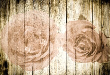 Vintage background romantic
