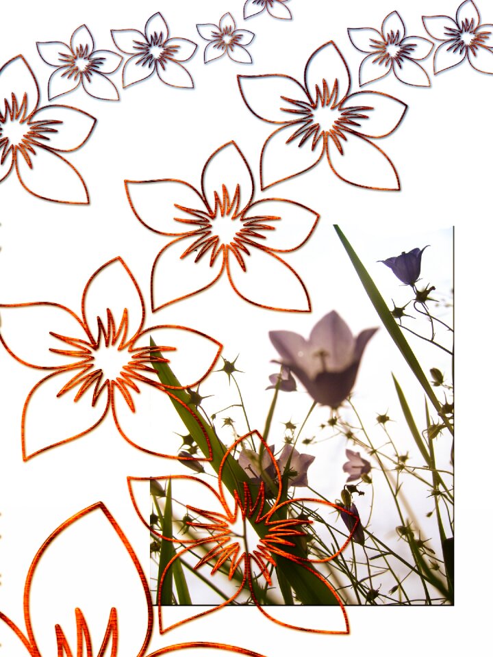 Leaves flora greeting card