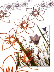 Leaves flora greeting card