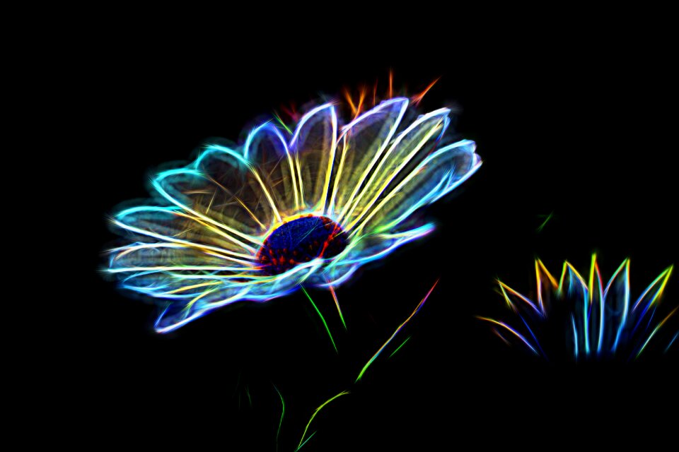 Background graphic form