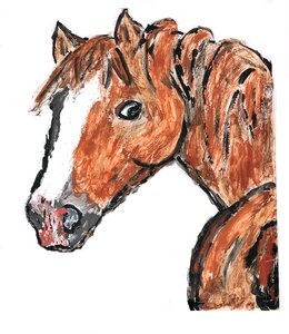 Horse drawing animal