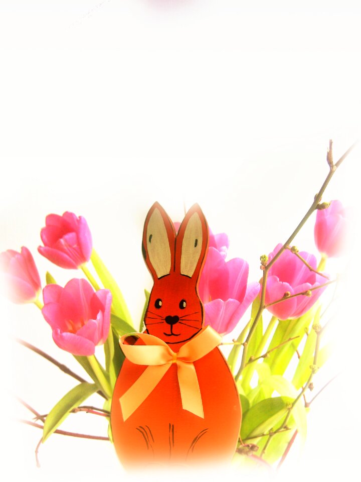 Easter egg egg easter celebration