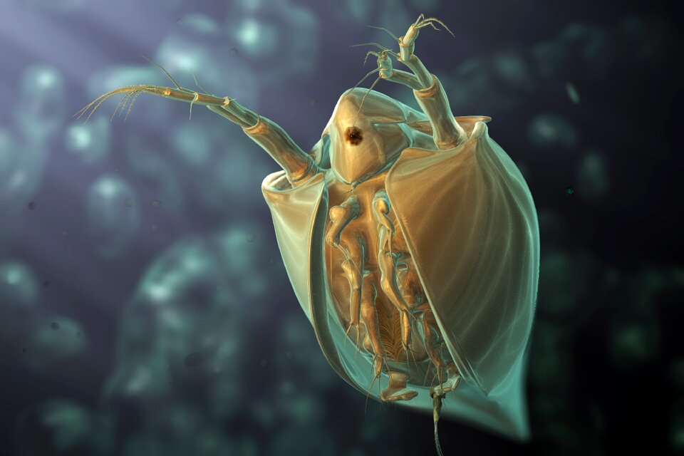 3d microscope Free illustrations