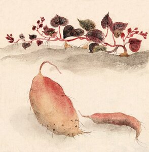 Painting vintage japanese