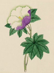 Painting vintage japanese