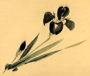 Painting vintage japanese