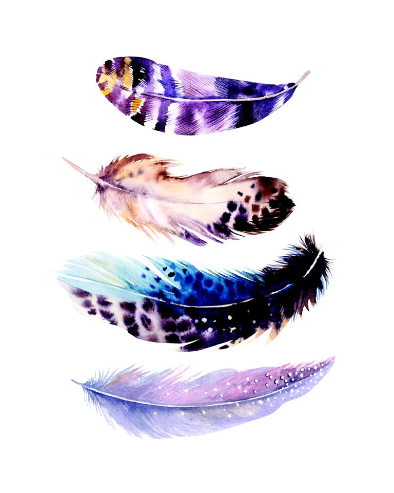 Bird sign Free illustrations