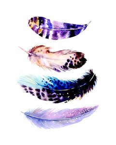 Bird sign Free illustrations
