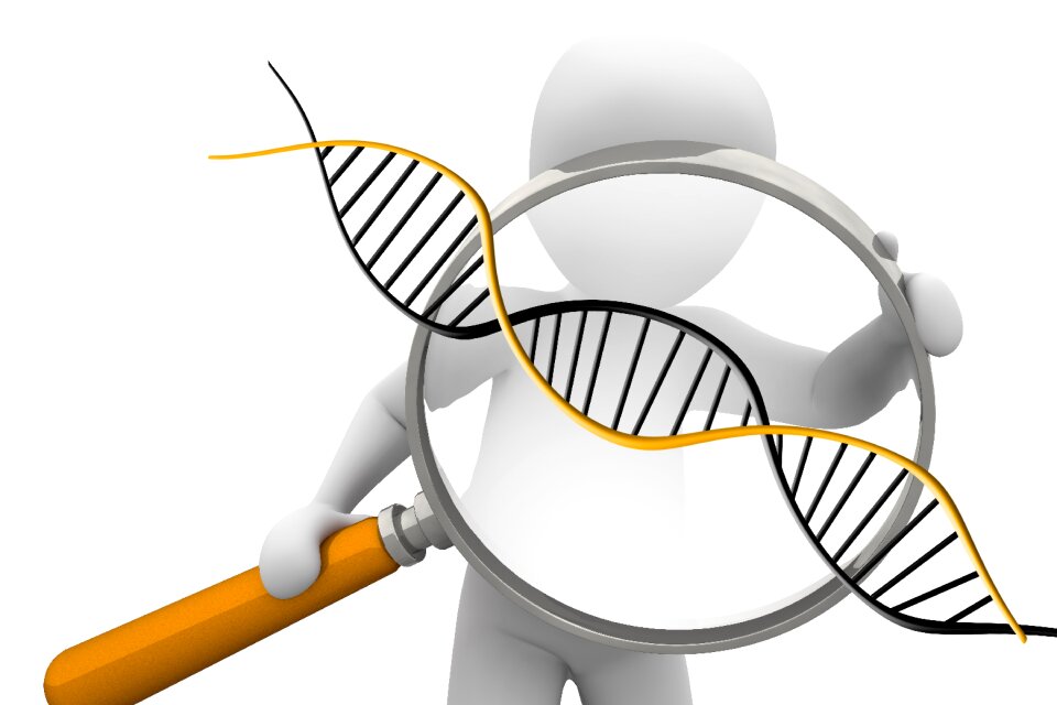 Symbol biology research
