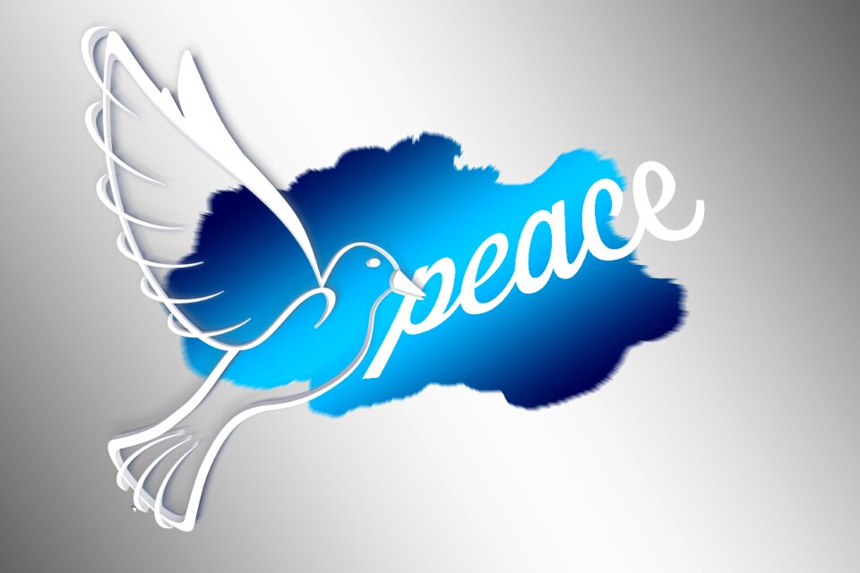 Peace dove world peace flying