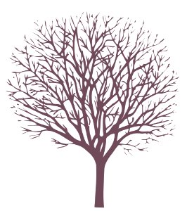 Tree winter leafless