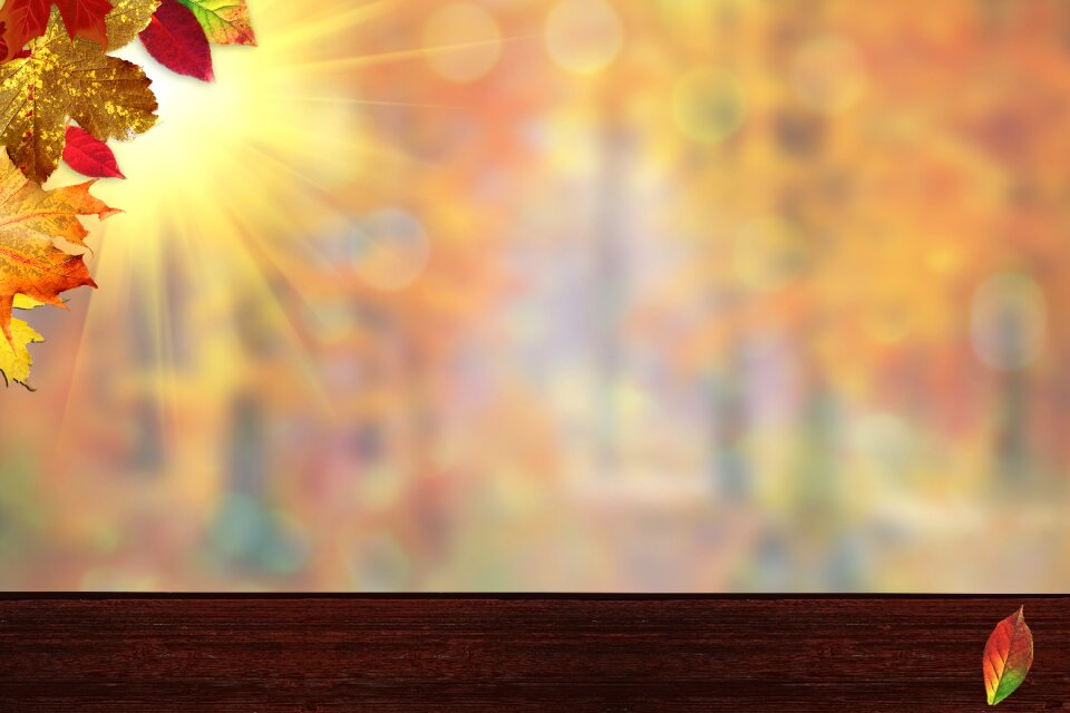 Warm nature autumn