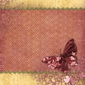 Butterfly square decoration