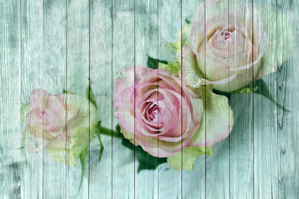 Poster paneling background