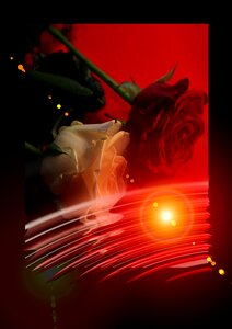 Greeting card postcard valentine's day