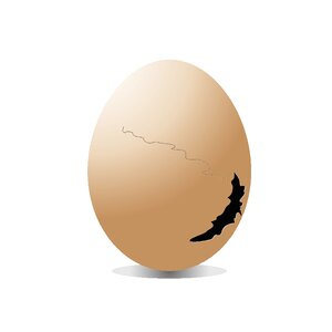 Isolated background cracked