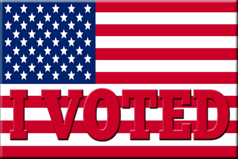 Voting political government