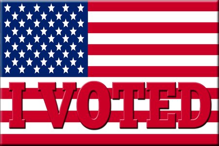 Voting political government