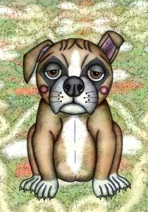 Animal dog Free illustrations